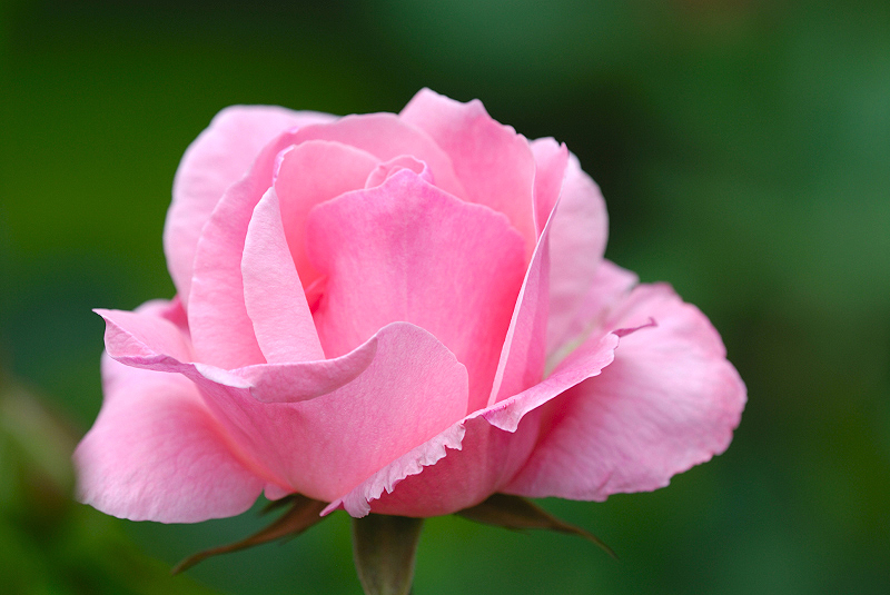 image0258