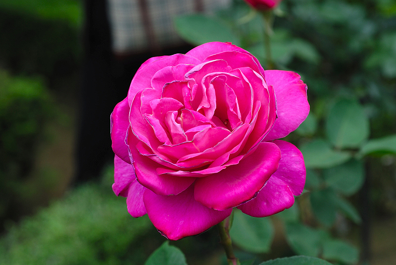 image0261
