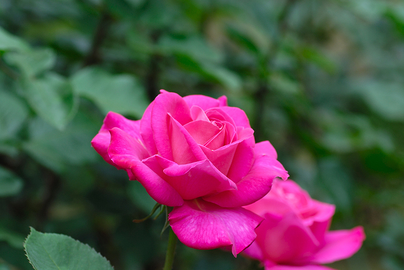 image0264
