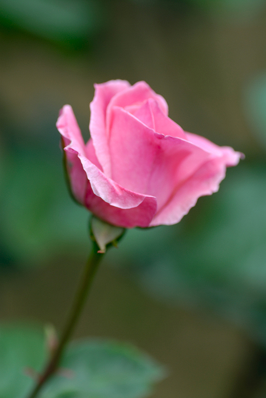 image0266