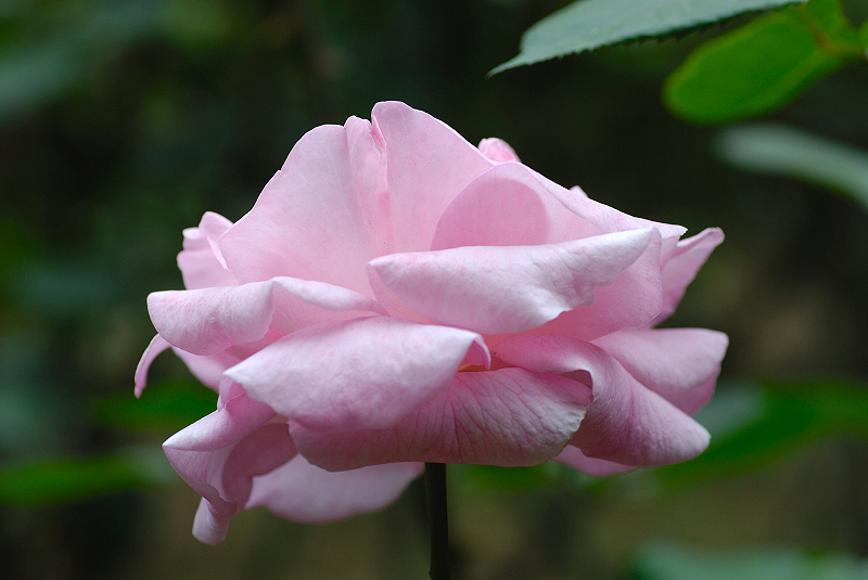 image0268