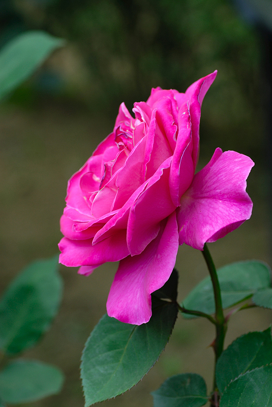 image0269
