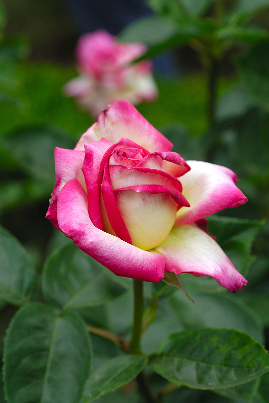 image0276