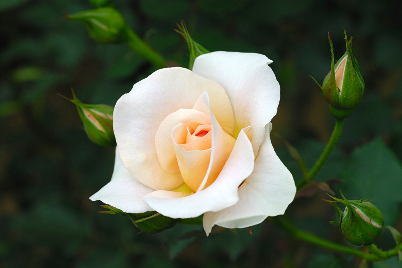 image0277