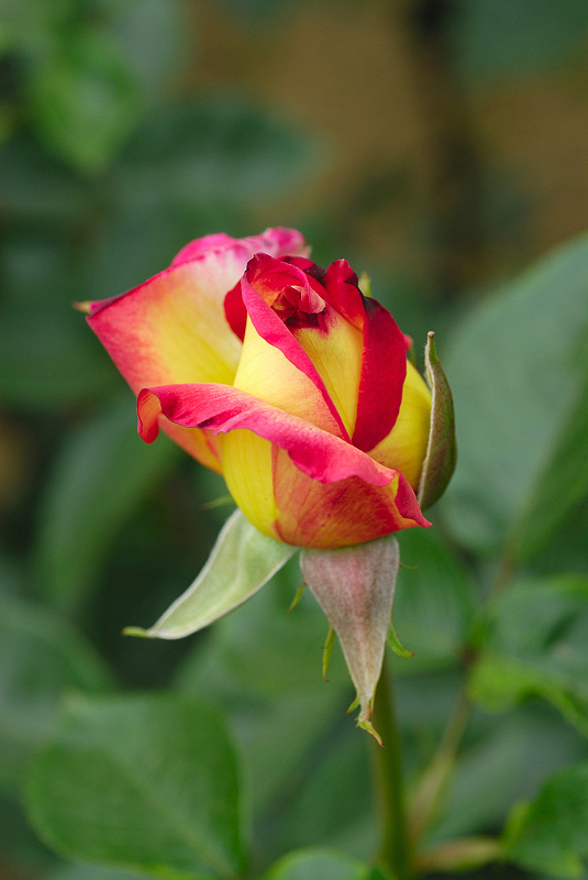 image0279