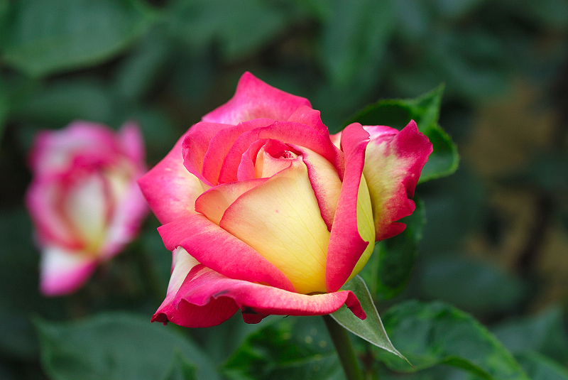 image0280