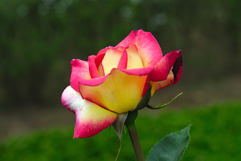 image0281