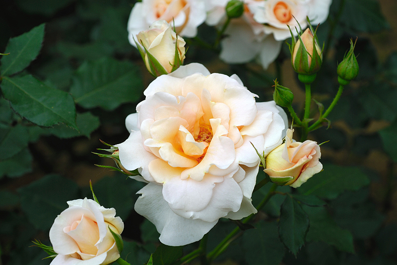 image0282