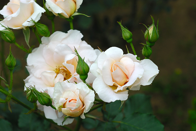 image0284