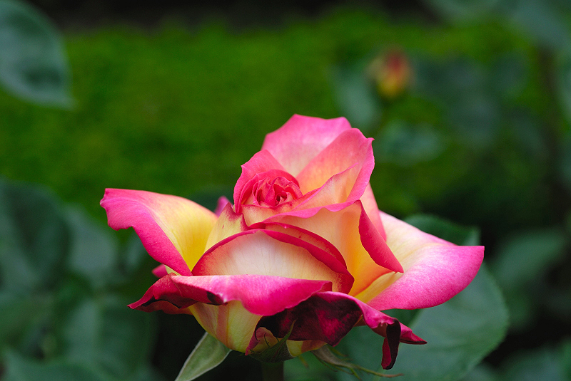 image0288