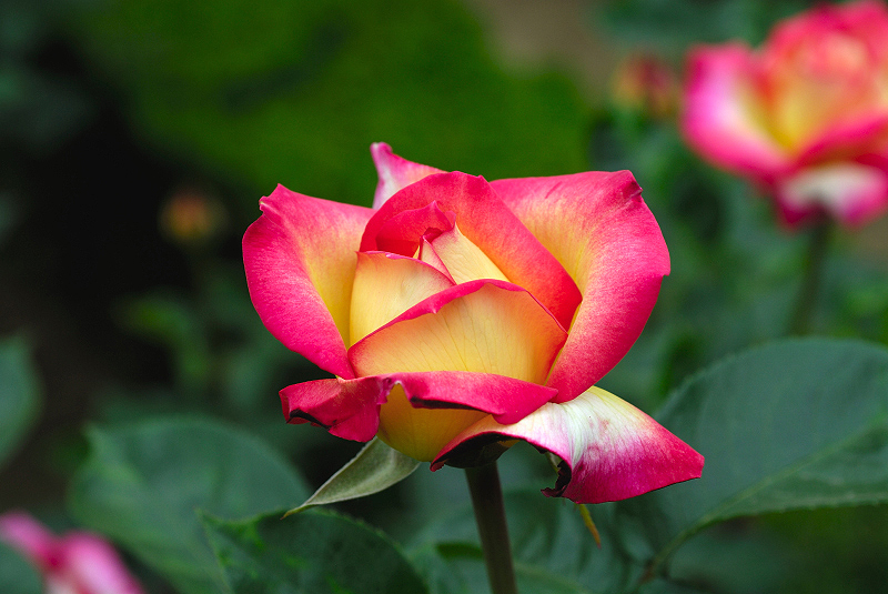 image0290
