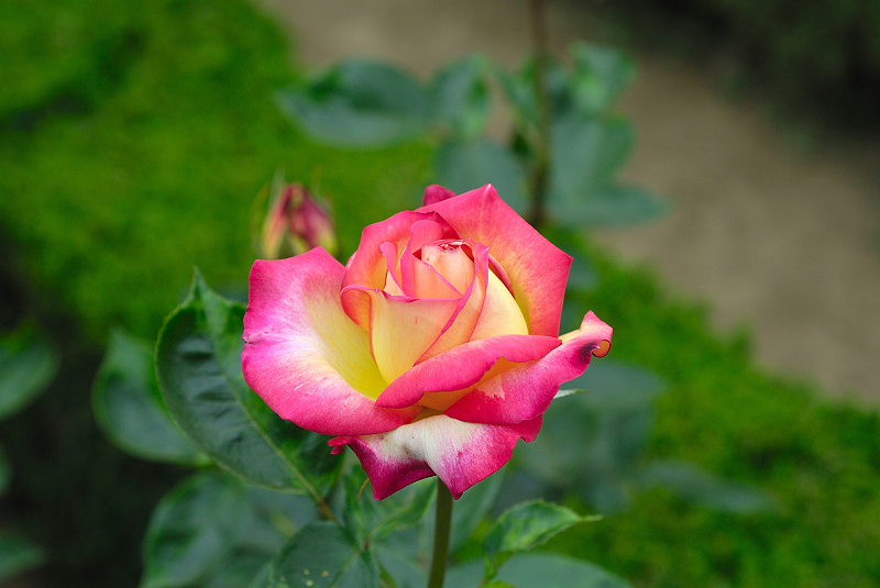 image0291