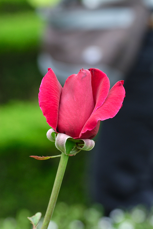 image0298