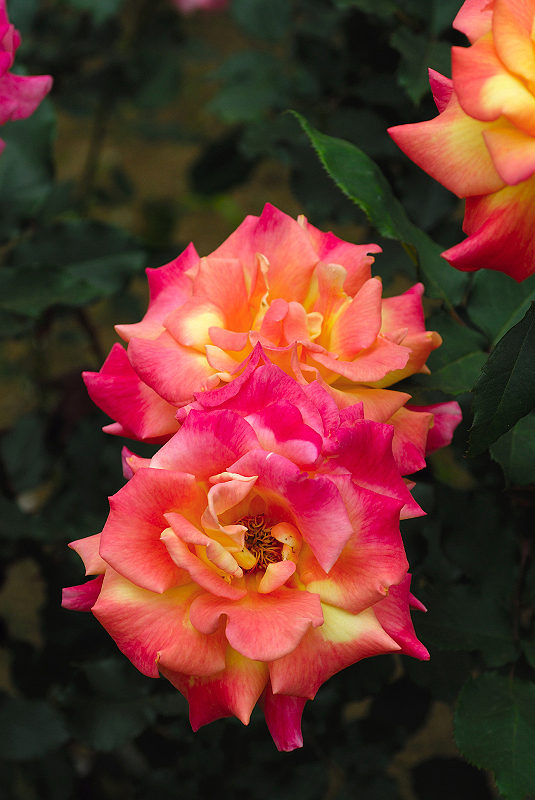image0301