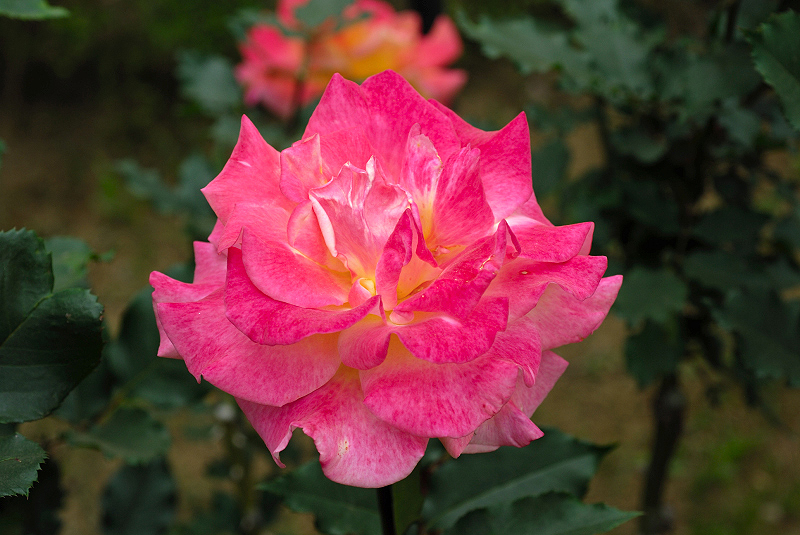 image0302
