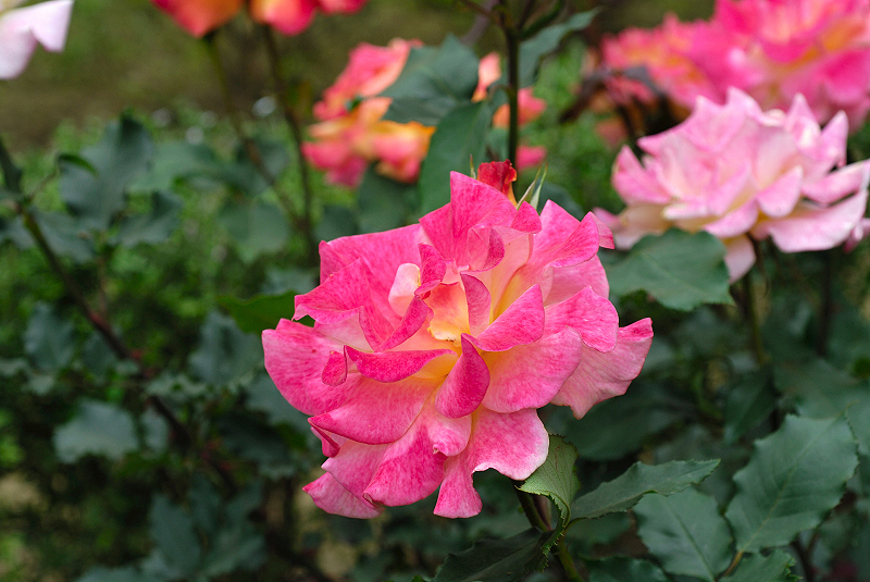 image0310