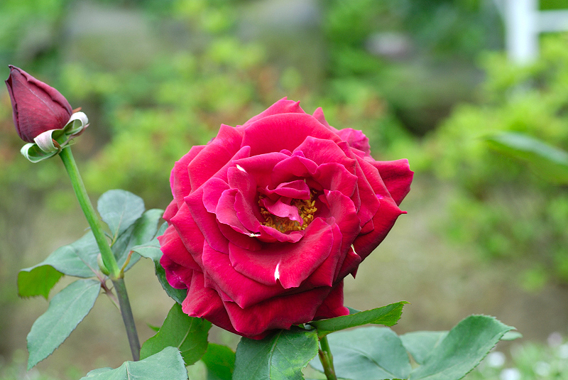 image0311