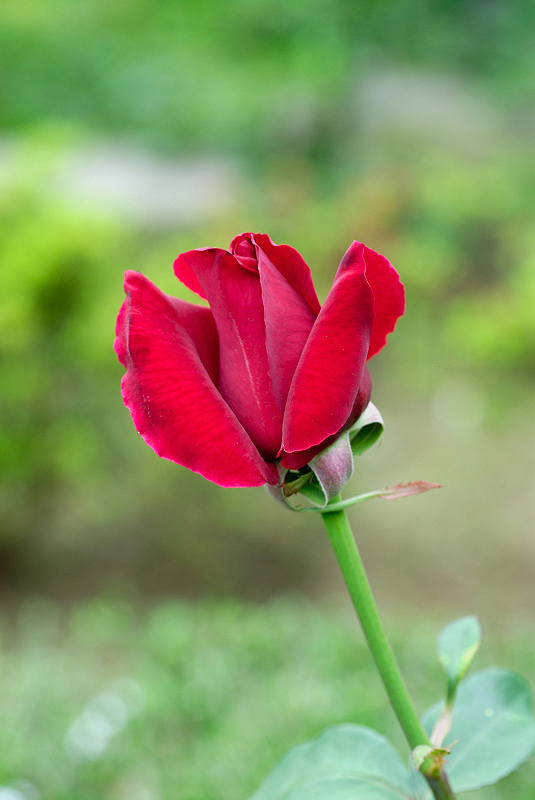 image0312