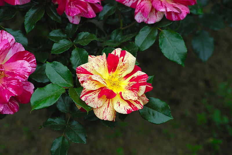 image0317