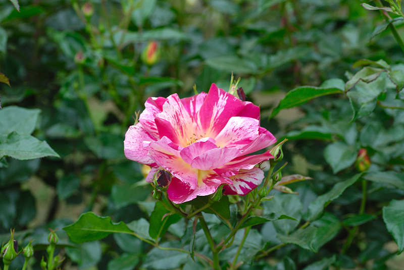 image0320