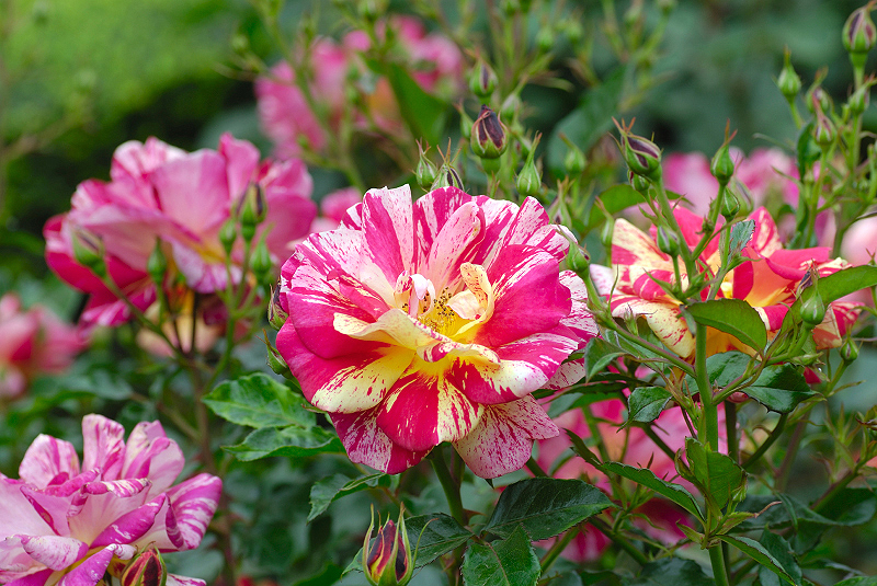 image0321