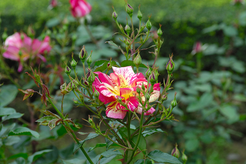 image0322