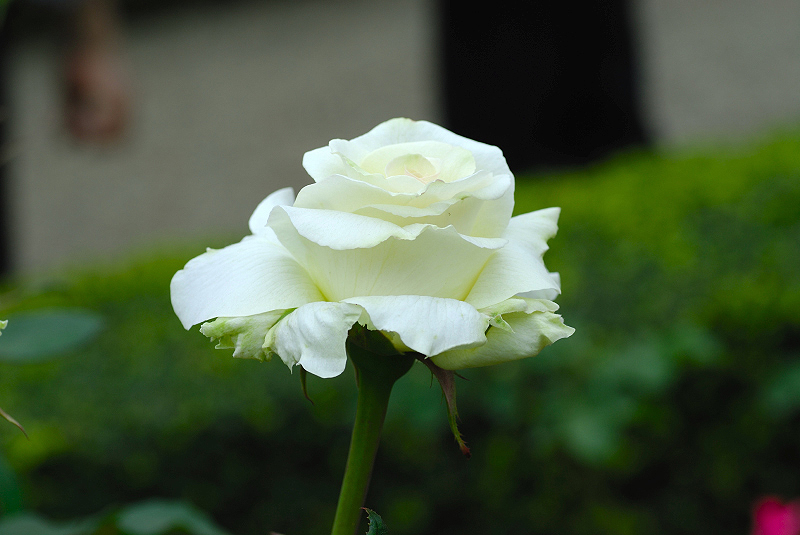 image0324