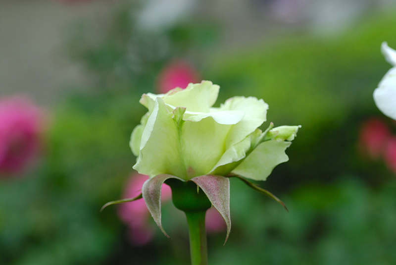image0325