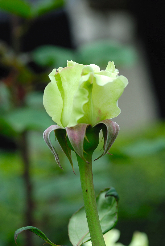 image0326