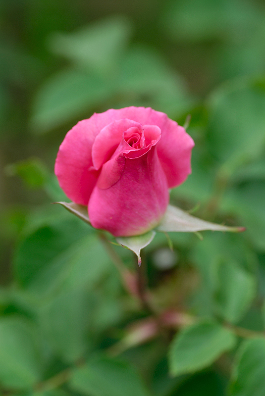 image0327