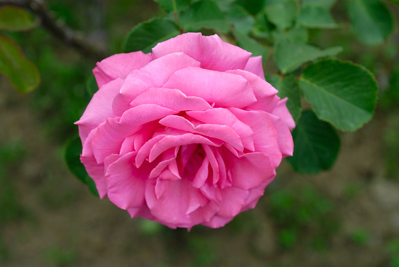image0328