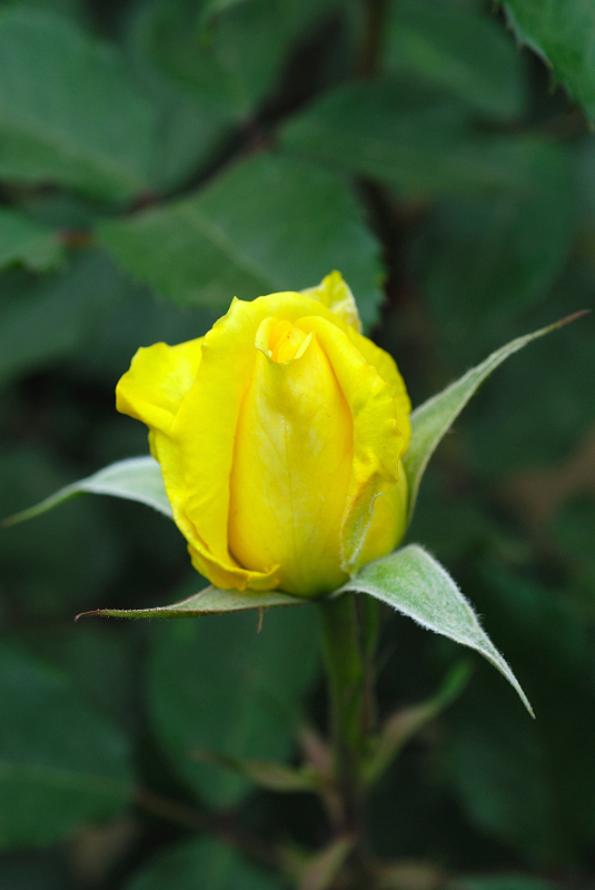 image0332