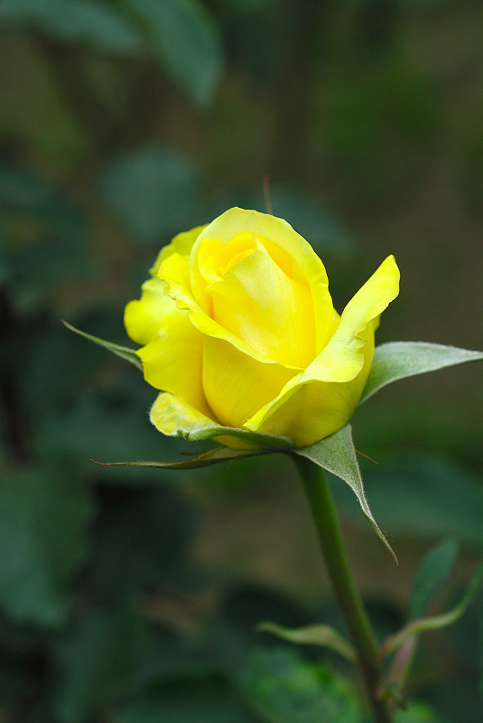 image0333