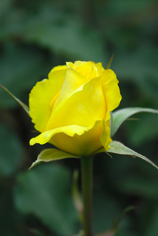 image0334