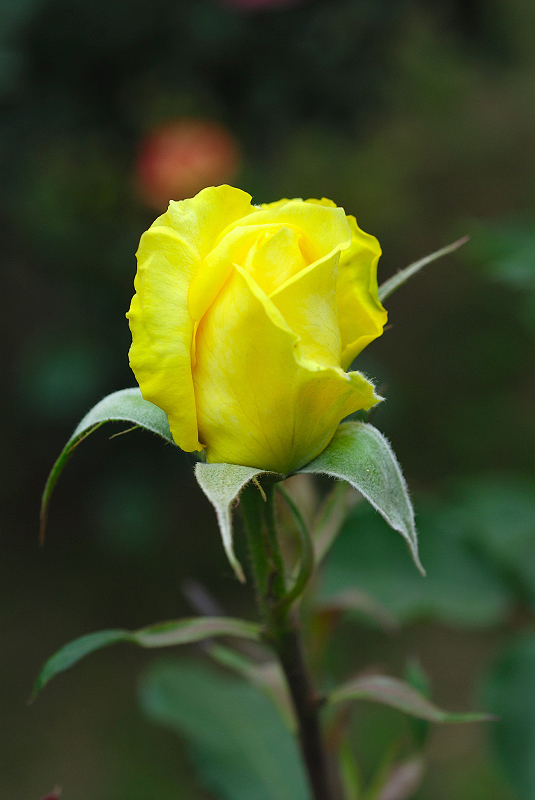 image0335