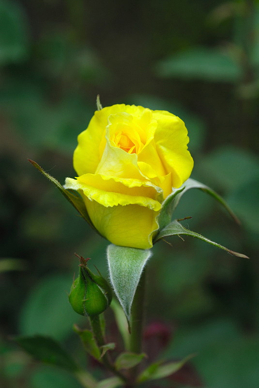 image0336