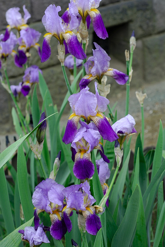 image0346