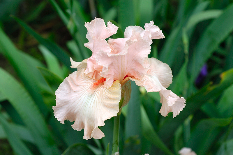 image0348