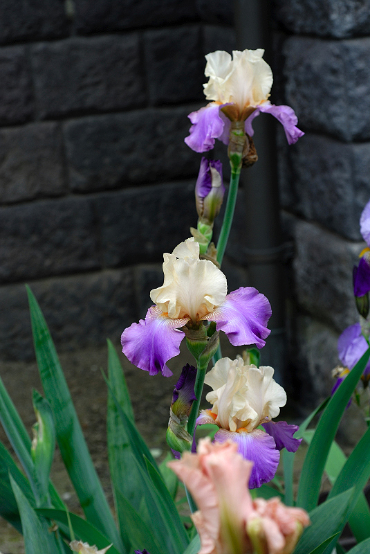 image0351