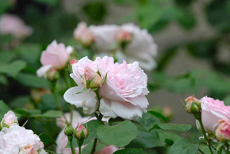 image0363