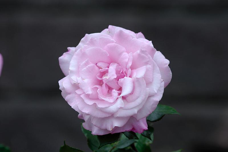 image0374