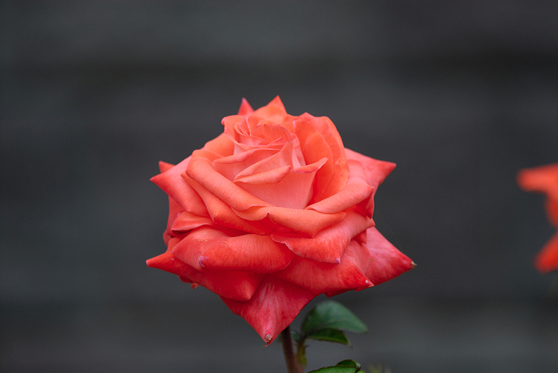 image0376