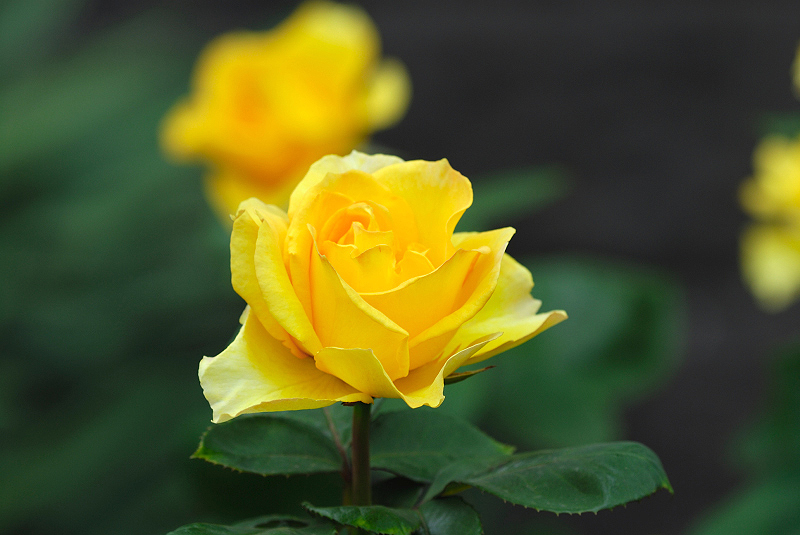 image0378