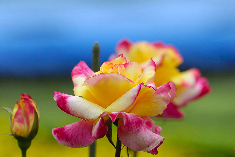 image0384