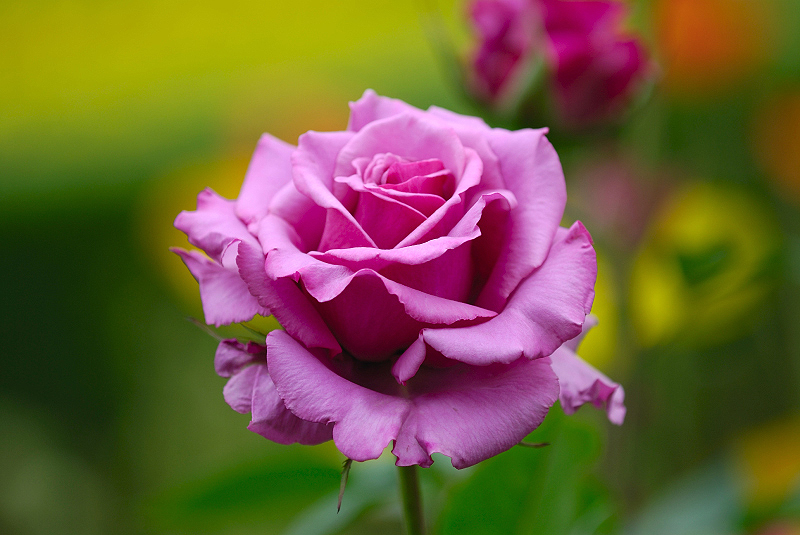 image0386