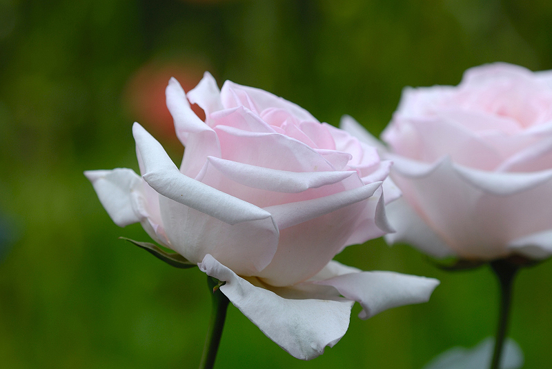 image0389