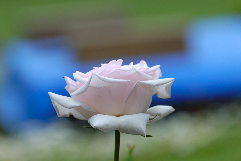 image0390