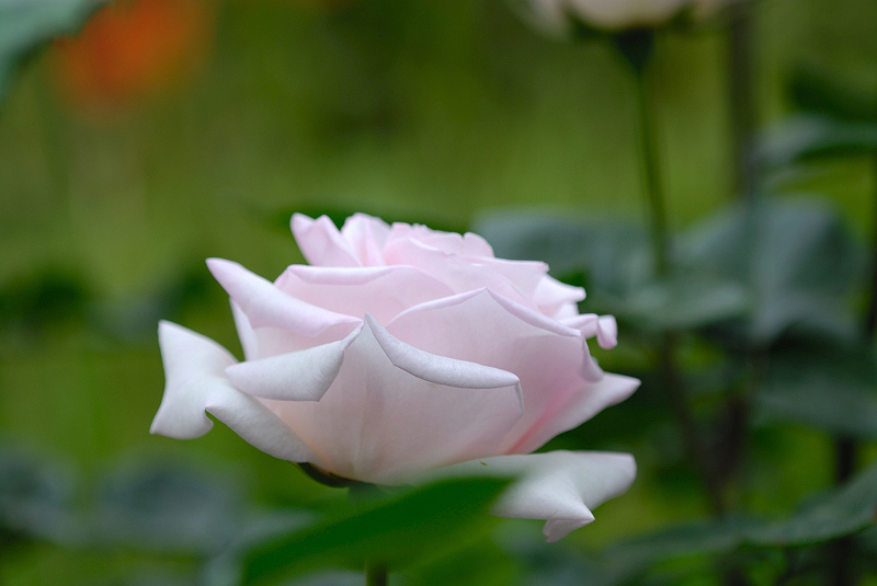 image0391