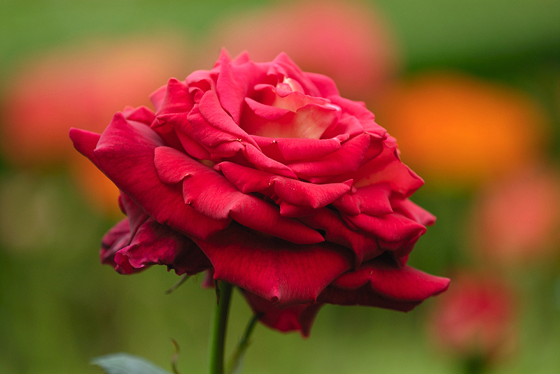 image0392