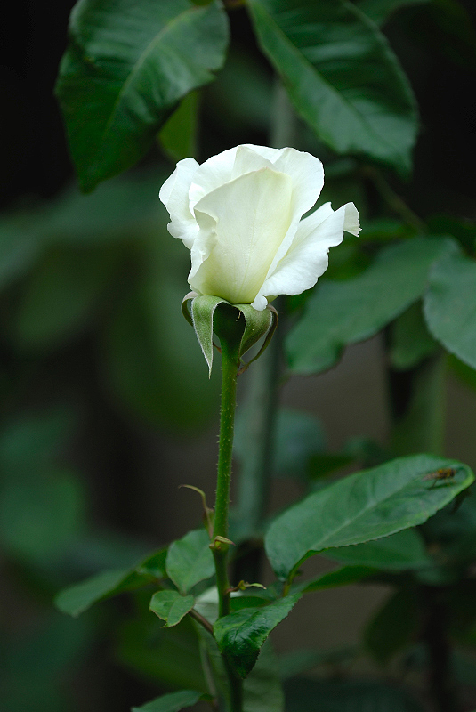 image0395